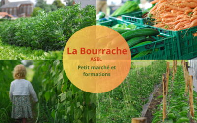 La Bourrache : petit marché et formations en agroécologie à Hognoul